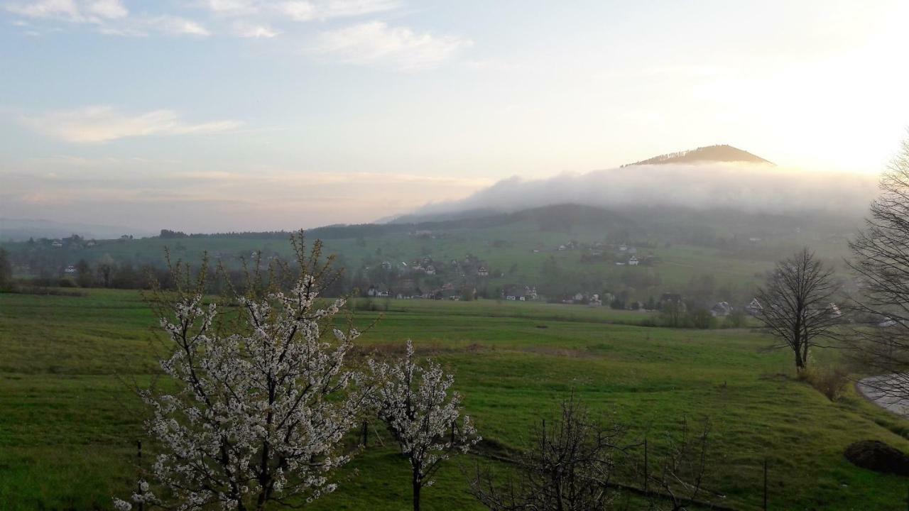 Agrorelax - Kasina Wielka Zewnętrze zdjęcie
